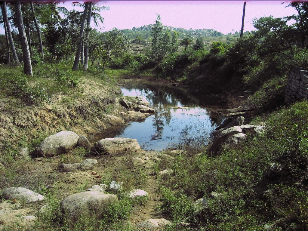 Irrigation canal near Kuppam